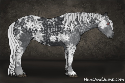Horse Color:Silver Black Chinchilla Ice