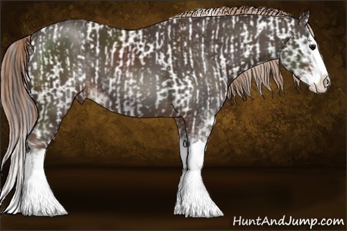 Horse Color:Brown Sabino Appaloosa  and Liver Chestnut Sabino Splash 