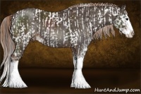 Horse Color:Brown Sabino Appaloosa  and Liver Chestnut Sabino Splash 