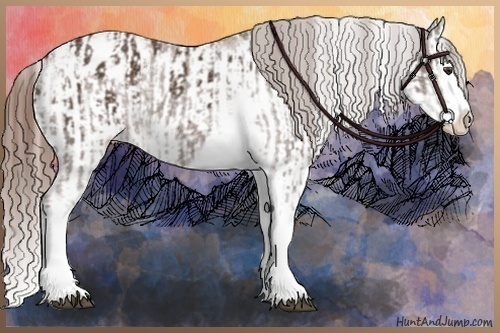 Horse Color:Liver Chestnut Sabino Splash Appaloosa  and Chestnut Sabino Splash Appaloosa 