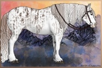 Horse Color:Liver Chestnut Sabino Splash Appaloosa and Chestnut Sabino Splash Appaloosa