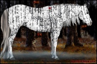Horse Color:Black Sabino Tobiano  and Liver Chestnut Sabino Splash Tobiano Varnish 
