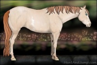Horse Color:Buckskin Pearl Sabino  Brindle