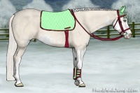 Horse Color:Cremello Sabino  Brindle