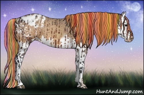 Horse Color:Painted Bay Sabino Splash Appaloosa  and Painted Amber Champagne Sabino Splash Appaloosa 