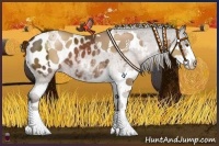 Horse Color:Liver Chestnut Pearl Sabino Splash and Liver Chestnut Sabino Splash Appaloosa