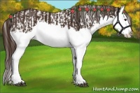 Horse Color:Liver Chestnut Sabino Splash Varnish and Liver Chestnut Sabino Splash