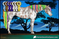 Horse Color:Painted Liver Chestnut Sabino Splash Appaloosa  and Painted Chestnut Sabino Splash Appaloosa 