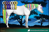 Horse Color:Painted Liver Chestnut Sabino Splash Appaloosa and Painted Chestnut Sabino Splash Appaloosa