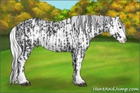Horse Color:Black Sabino Splash Varnish and Silver Black Chinchilla Sabino Varnish