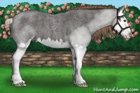 Horse Color:Liver Red Roan Sabino Splash