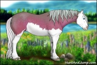 Horse Color:Watercolor Silver Brown Sabino Splash 