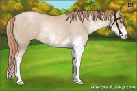 Horse Color:Smoky Black Pearl Sabino Brindle