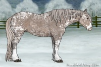 Horse Color:Silver Black Ice Sabino 