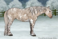 Horse Color:White Spotted Silver Grullo Ice 