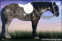 Horse Color:ERROR: UNKNOWN ANOMALY Brindle