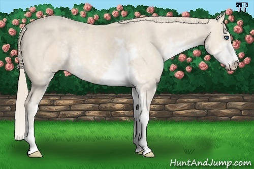 Horse Color:Perlino Sabino  Brindle