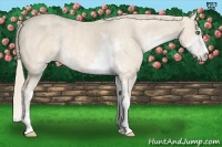 Horse Color:Perlino Sabino  Brindle