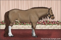 Horse Color:Liver Red Dun 