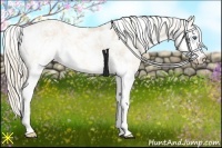 Horse Color:Perlino Sabino Brindle