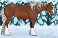 Horse Color:Silver Bay 