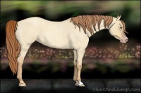 Horse Color:Gold Champagne Roan Dun 
