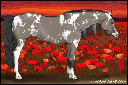 Horse Color:White Spotted Smoky Grullo Sabino