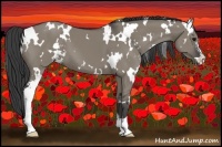 Horse Color:White Spotted Smoky Grullo Sabino