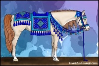 Horse Color:Buckskin Pearl Dun Sabino Rabicano
