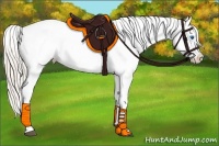 Horse Color:Silver Grullo Splash Appaloosa 