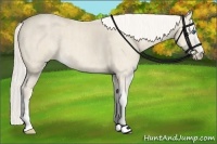 Horse Color:Cremello Sabino Brindle