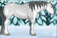 Horse Color:Brown Chinchilla Pearl Splash 