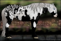 Horse Color:Brown Sabino Splash Blanket