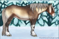 Horse Color:Silver Brown Onyx Appaloosa