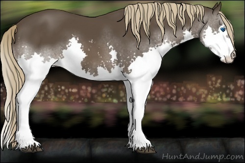 Horse Color:Liver Chestnut Splash 