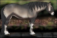 Horse Color:Blue Onyx