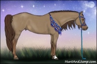 Horse Color:Liver Red Dun Roan 