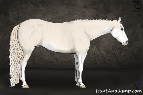 Horse Color:Perlino Sabino  Brindle