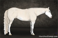 Horse Color:Perlino Sabino Brindle
