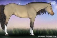Horse Color:Bay Dun