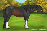 Horse Color:Brown 
