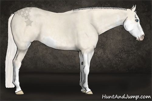 Horse Color:Cremello Sabino Brindle