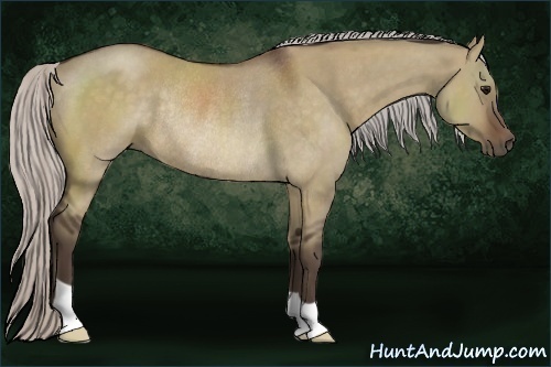 Horse Color:Silver Brown Dun Rabicano 