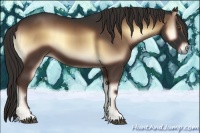 Horse Color:Liver Red Onyx 