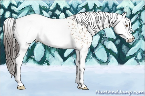 Horse Color:White Spotted Sable Champagne 