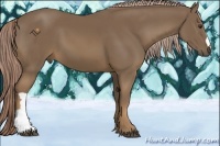 Horse Color:Chocolate Palomino 