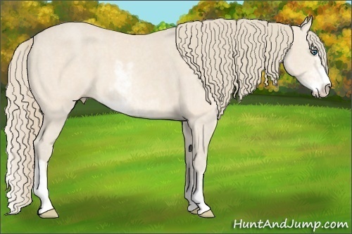 Horse Color:Perlino Sabino  Brindle