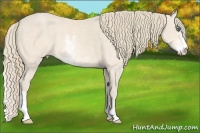 Horse Color:Perlino Sabino Brindle