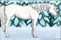 Horse Color:Silver Smoky Black Ice Pearl Sabino Tobiano Appaloosa 