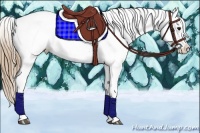 Horse Color:White Spotted Smoky Black Sabino Appaloosa Rabicano 